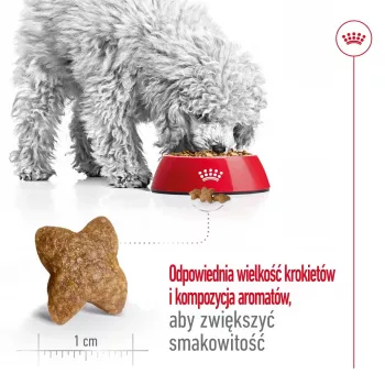 Pienso seco para perros Royal Canin Adult Mini S 8 kg — alimento completo para perros adultos pequeños