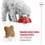 Pienso seco para perros Royal Canin Adult Mini S 8 kg — alimento completo para perros adultos pequeños