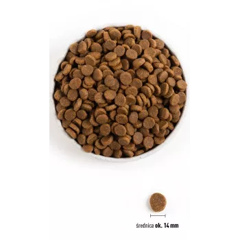 ACANA Senior - Pienso para perros - 11,4 kg