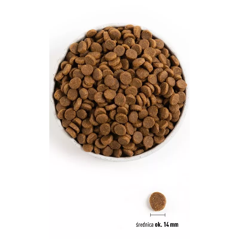 ACANA Senior - Pienso para perros - 11,4 kg