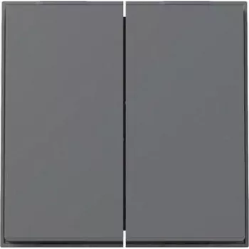 GIRA tecla 2f TX_44 WG UP 329567 Antracita (329567)