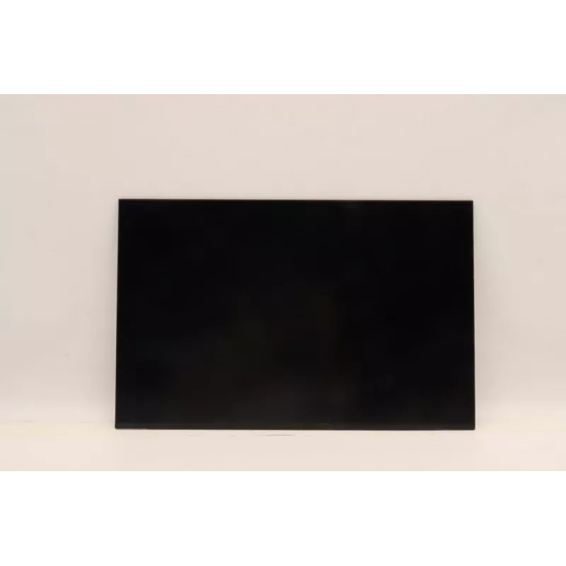 Lenovo 5D10V82406 pantalla LCD de 16,0 pulgadas (AUO B160UAN03.2)