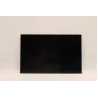 Lenovo 5D10V82406 pantalla LCD de 16,0 pulgadas (AUO B160UAN03.2)