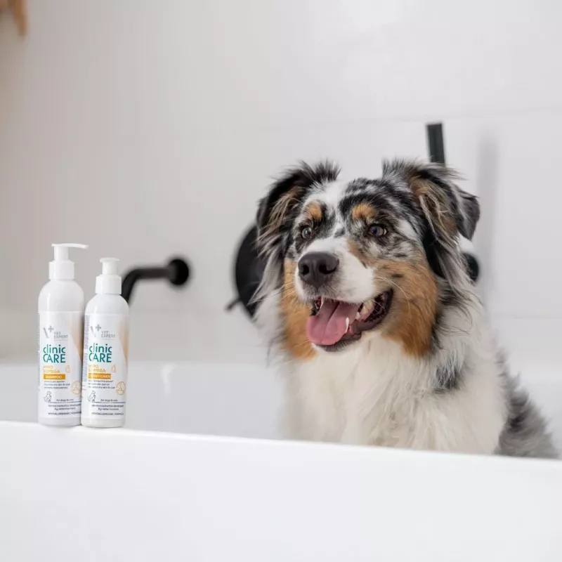 VETEXPERT Clinic Care Hypo&Omega champú para perros y gatos, 250 ml