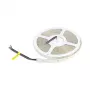 Synergy 21 Tira LED Flex 5050 - 60 RGB DC24V + RGB-W one chip SWW IP65