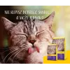 Josera 9310 pienso para gatos Adult aves, salmón 10 kg