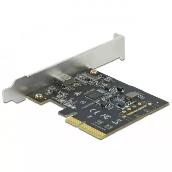 DeLOCK - Adaptador USB - PCIe 3.0 x4 Low-Profile - USB 3.2 Gen 2x2 x 1 (89036)