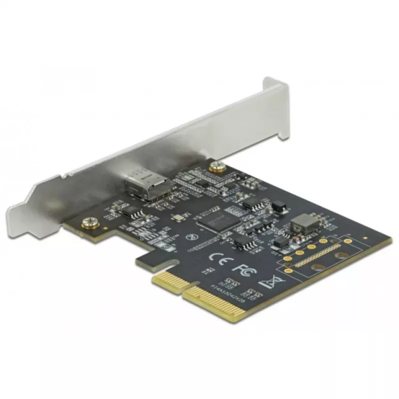 DeLOCK - Adaptador USB - PCIe 3.0 x4 Low-Profile - USB 3.2 Gen 2x2 x 1 (89036)