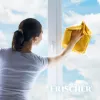 Frischer limpiacristales con función antivaho 1 l