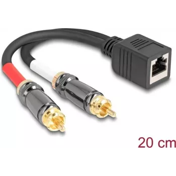 Cable de audio DeLOCK 0,2 m RJ-45 2 x RCA negro