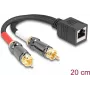 Cable de audio DeLOCK 0,2 m RJ-45 2 x RCA negro