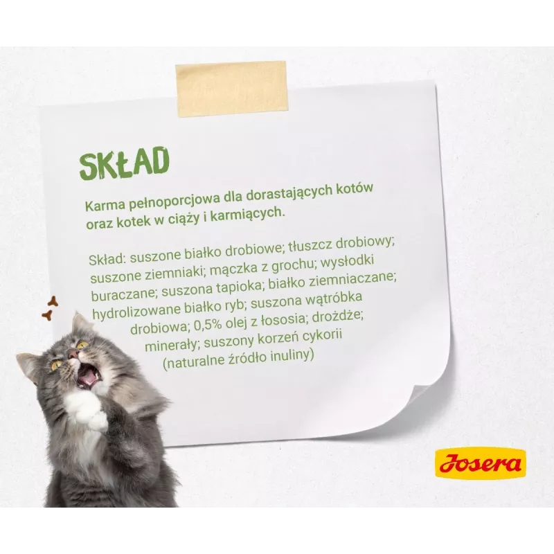 Pienso seco para gatos Josera Kitten Ave 2 kg