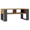 Mesa de centro top e shop Modern 90×58×50 cm, estructura antracita, estantes en roble Artisan mate
