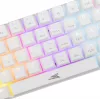Baracuda DOLPHIN-W rojo blanco
