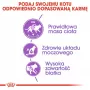 ROYAL CANIN Sterilised 37 - Pienso para gatos - 10 kg