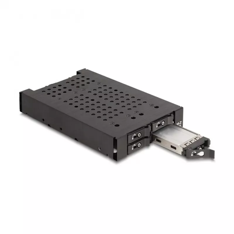 Bahía para HDD DeLOCK 47072 compatible con rack metal 100 mm de ancho