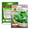 PNOS rúcula Eruca sativa semillas en cinta, 6 m