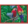 Ravensburger Pintar por números - Loros coloridos