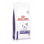 Royal Canin VHN Dog Dental Small pienso para perros, 2 kg