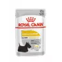 Royal Canin CCN Dermacomfort Loaf comida húmeda para perros, pack de 12 x 85 g