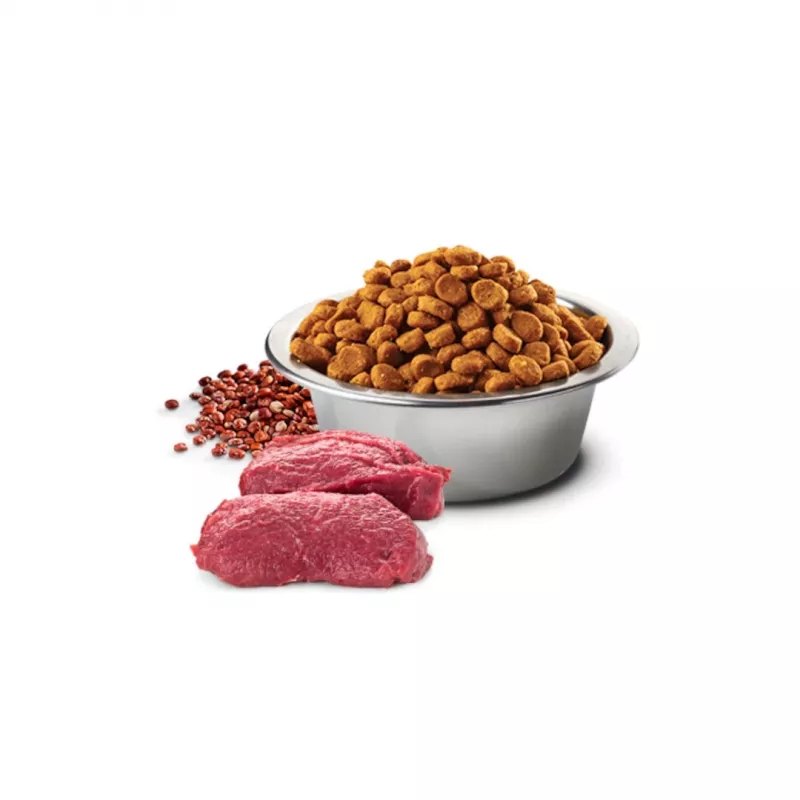 FARMINA N&D Quinoa Dog Skin&Coat ciervo y coco Adult Medium&Maxi - Pienso para perros - 7 kg