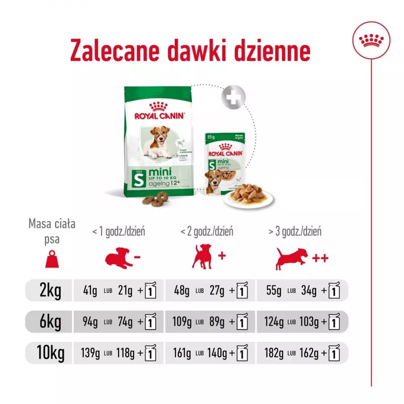 ROYAL CANIN Mini Ageing Adult +12 - Pienso para perros - 3,5 kg