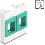 Marco de módulo de montaje en pared 45x45 mm DELOCK Easy 2 soportes Keystone blanco/verde