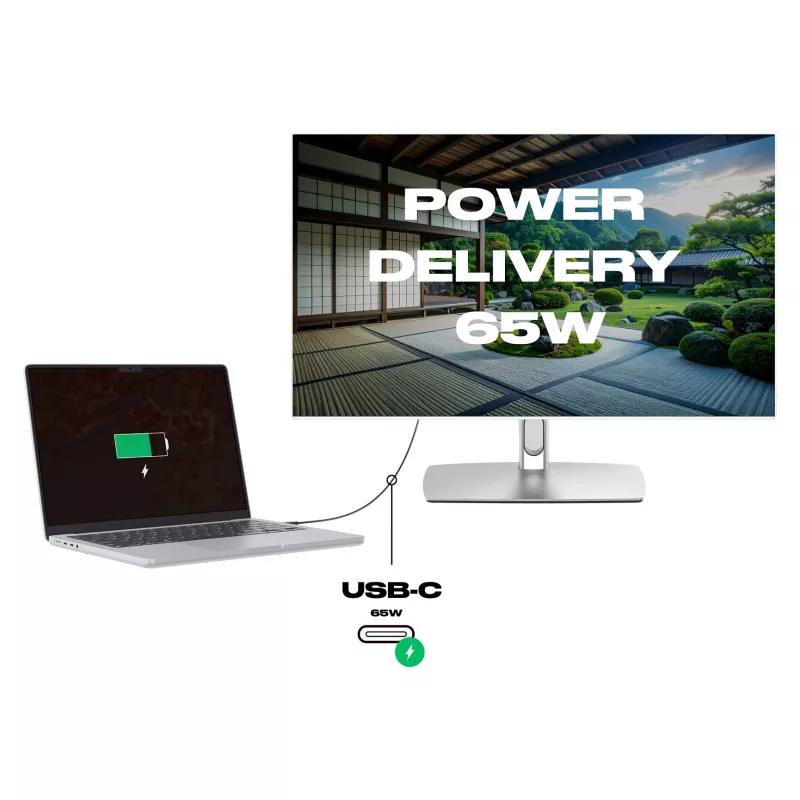 Monitor táctil JapanNext WQHD 68,58cm (27