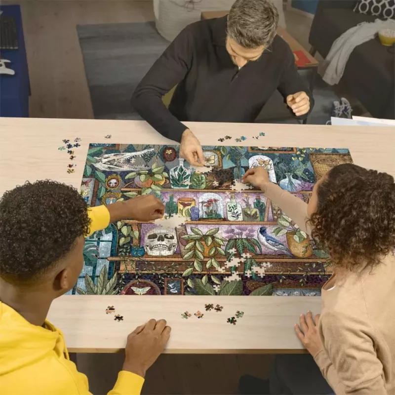 Puzle Ravensburger A Witch's Favorite Things — 2000 piezas