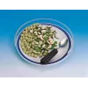 Tapa transparente para plato 25–28 cm