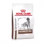 ROYAL CANIN Gastrointestinal - Pienso para perros - 2 kg