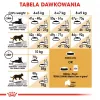 Royal Canin FBN Maine Coon Adult comida seca para gatos, 4 kg