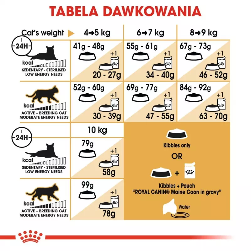 Royal Canin FBN Maine Coon Adult comida seca para gatos, 4 kg