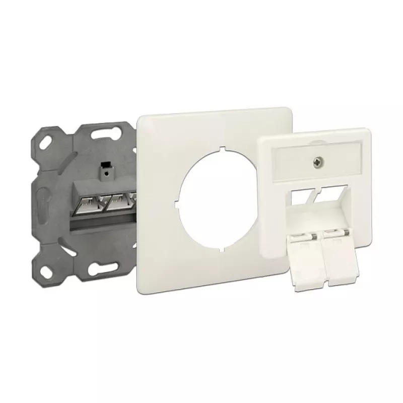 Toma de red RJ-45 DeLOCK 86195