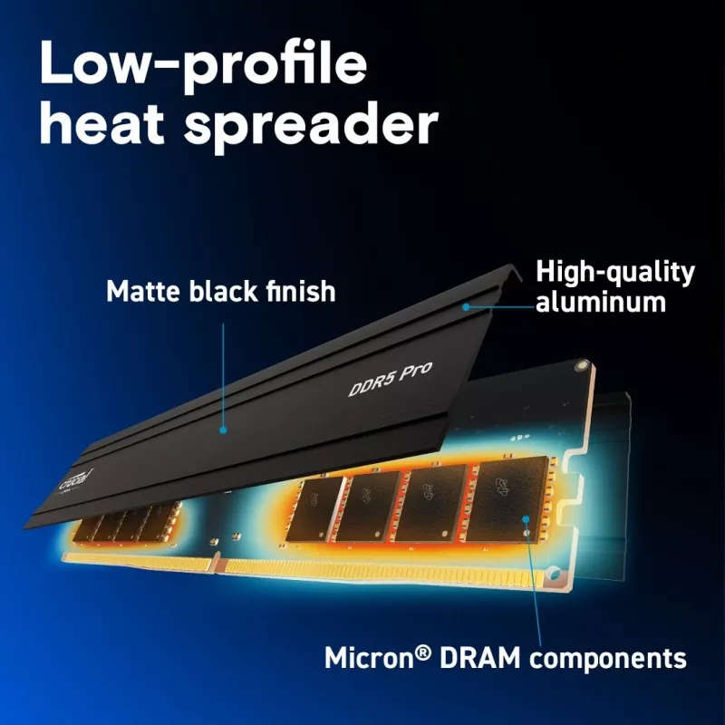 16 GB Crucial Pro Módulo - DIMM 288-PIN Low Profile - 6000 MHz / PC5-48000 - CL48 - 1.1 V - sin búfer - on-die ECC - negro mate