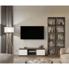 RTV 120 MALWA antracita/blanco