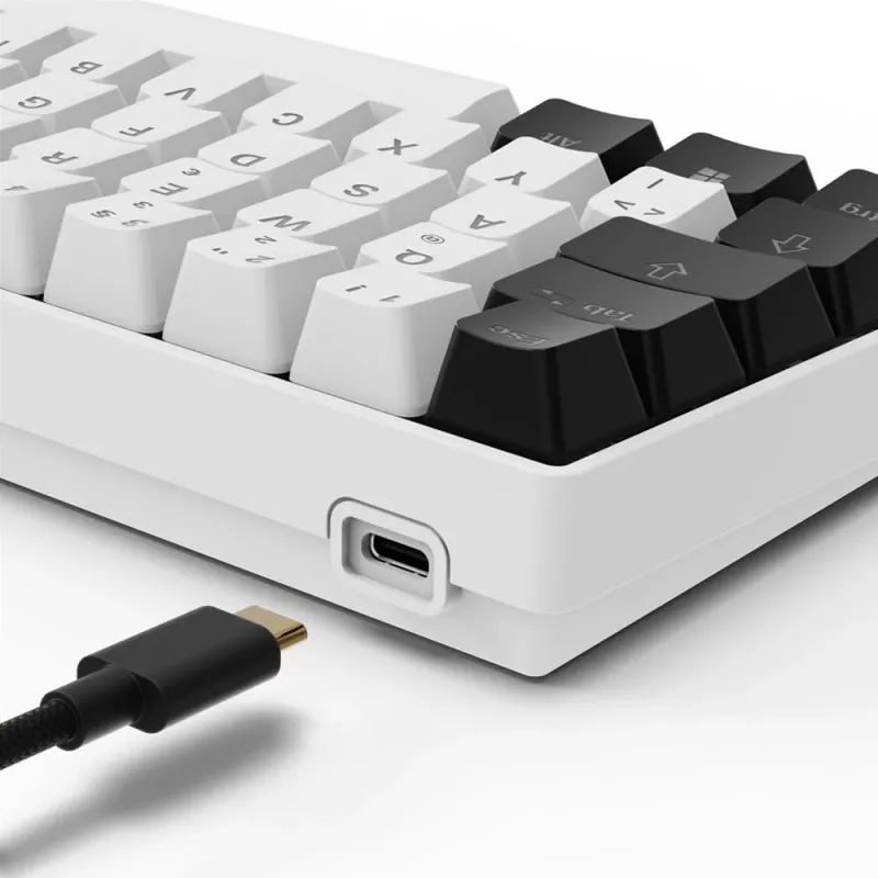 Sharkoon SGK50 S4 teclado Home USB QWERTZ alemán blanco RGB LED 60%