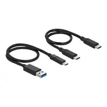 Estación de acoplamiento Delock M.2 - Adaptador de interfaz - Tarjeta M.2 NVMe - USB 3.2 (Gen 2) - Plata