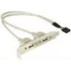 Soporte de ranura 1x USB interno de 5 pines a 2x USB 2.0 externo DeLOCK 71000