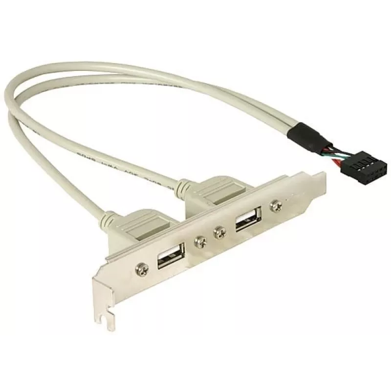 Soporte de ranura 1x USB interno de 5 pines a 2x USB 2.0 externo DeLOCK 71000