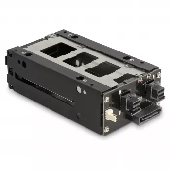 Delock - Rack de almacenamiento móvil - bahía estrecha - 5,25 a 2 x 2,5 (13,3 cm a 2 x 6,4 cm) - negro (47019)