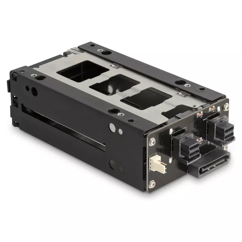 Delock - Rack de almacenamiento móvil - bahía estrecha - 5,25 a 2 x 2,5 (13,3 cm a 2 x 6,4 cm) - negro (47019)