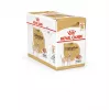 Royal Canin Chihuahua comida para perros, pack de 12 x 85 g