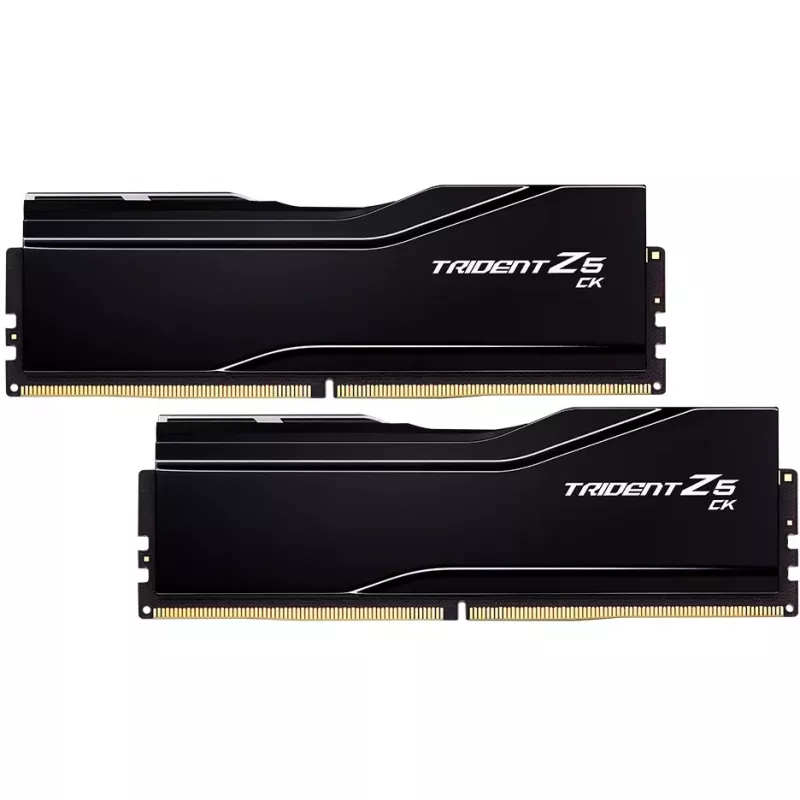 Módulo de memoria G.skill F5-8400C4052G24GX2-TZ5CK 48