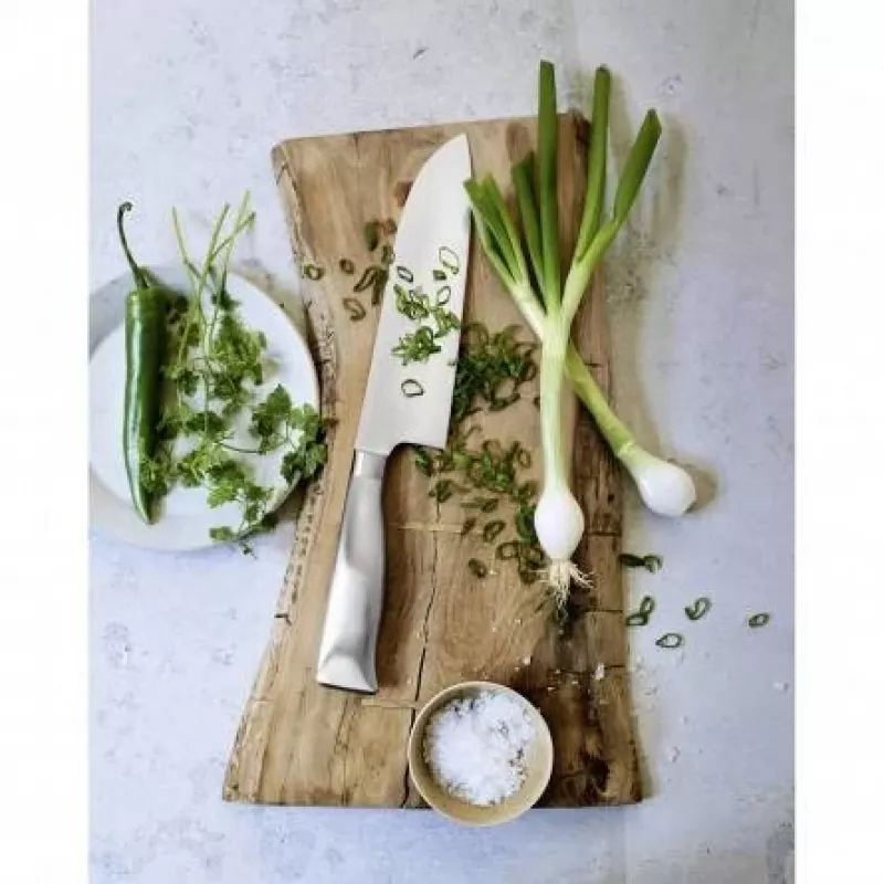 WMF Grand Gourmet 1.889.586.032 cuchillo fileteador, acero inoxidable, 16 cm