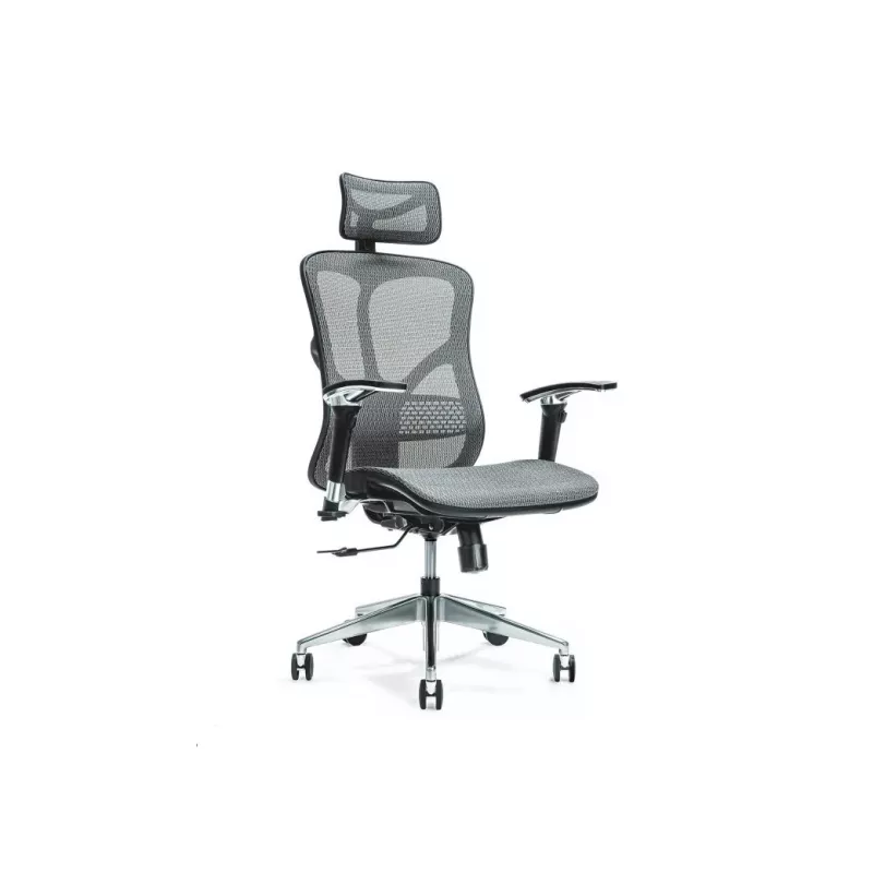Silla de oficina ergonómica ERGO 500 gris