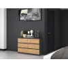 Cómoda top e shop M6 120 — antracita/roble, 6 cajones, 1200×300×770 mm, tablero de partículas
