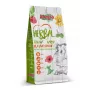 ALEGIA pienso seco de hierbas para cobayas - 600 g