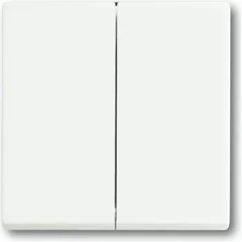 BUSCH JAEGER 1751-0-3024 - teclas - blanco - plástico - 63 mm - 63 mm - 1 ud.