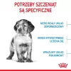 Royal Canin Medium Puppy pienso para cachorros 15 kg